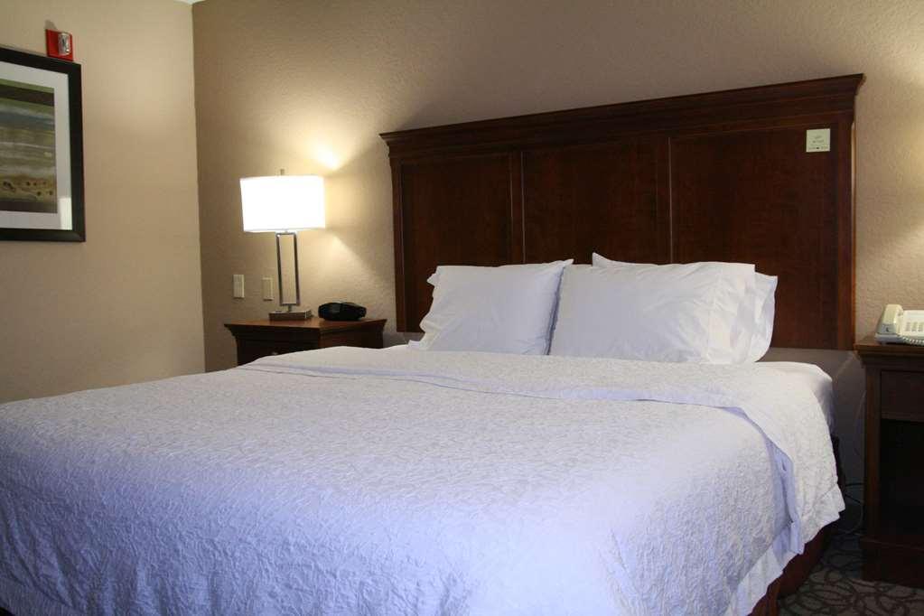 Hampton Inn Gainesville Rum bild