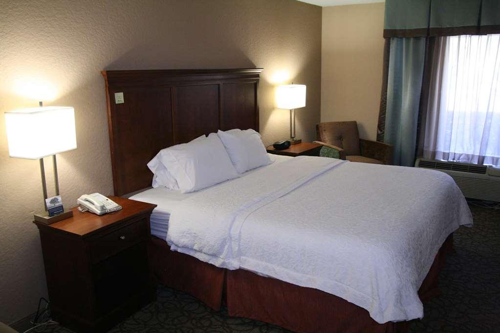 Hampton Inn Gainesville Rum bild