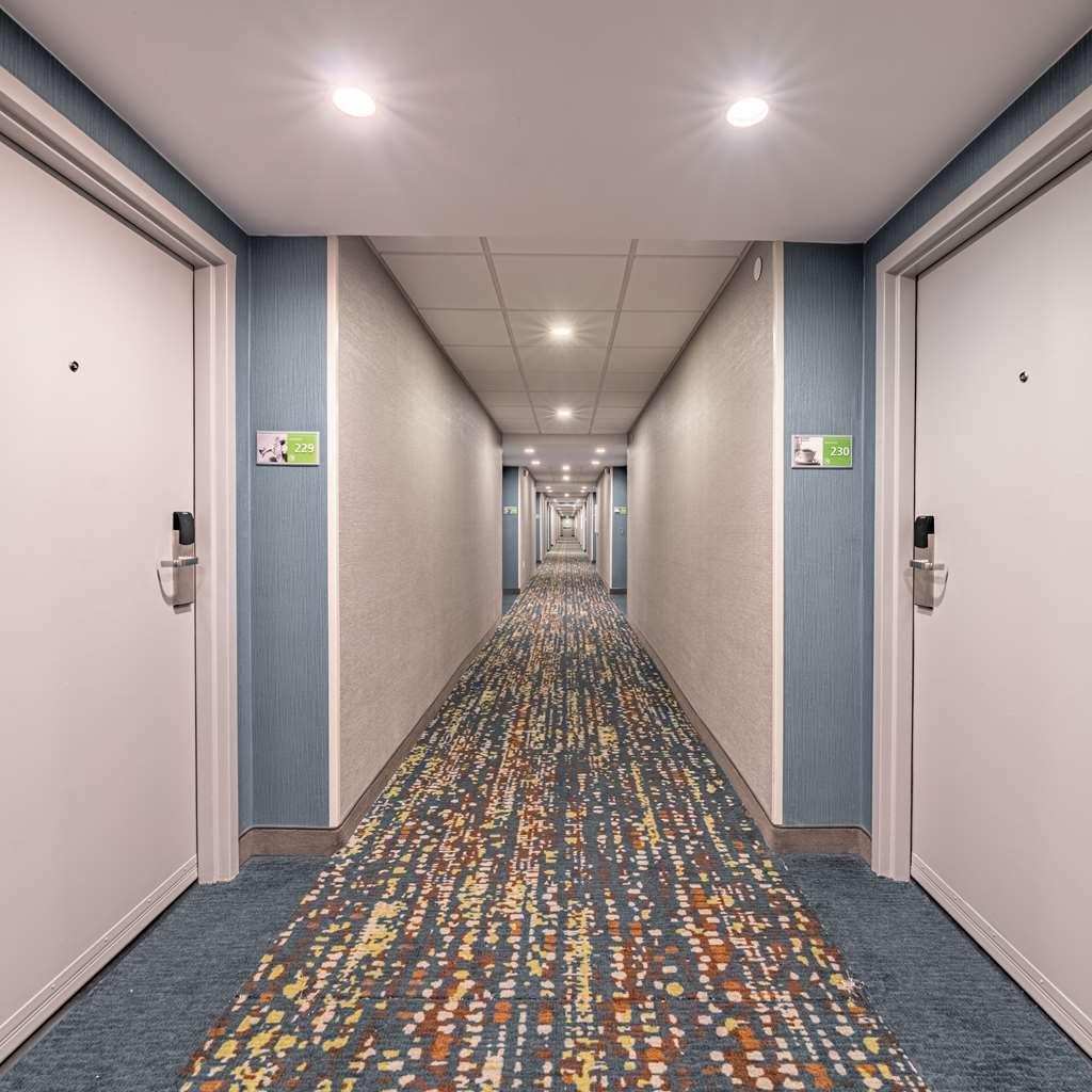 Hampton Inn Gainesville Inreriör bild